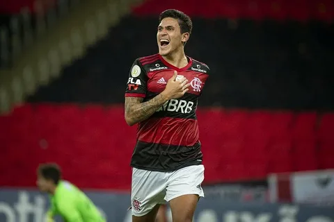 Flamengo Atinge a Vice-Liderança do Brasileirão, Mas Dúvidas Pairam sobre Técnico Tite