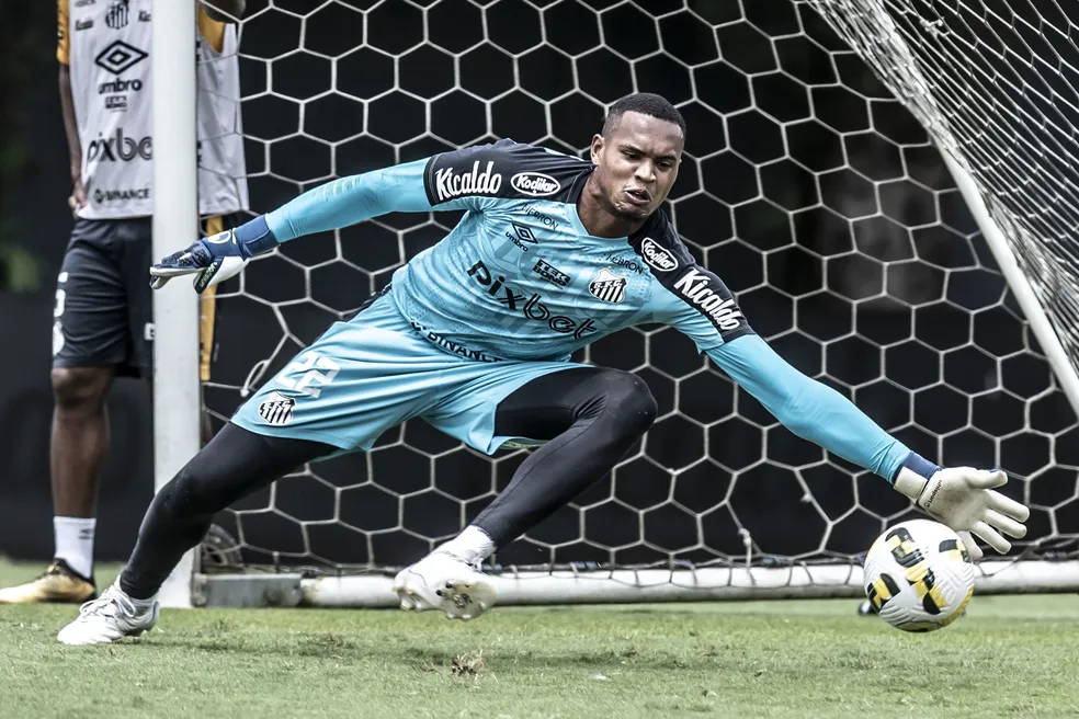 Botafogo corre atrás para contar com novos jogadores para 2024