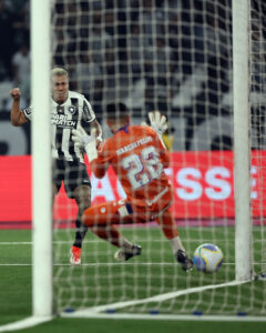 Carlos Alberto marcou o gol do Botafogo.