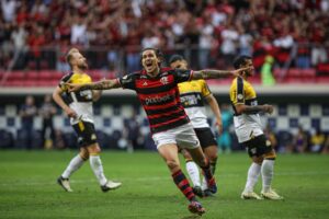 Pedro, artilheiro do Flamengo, comemora seu gol contra o Criciúma