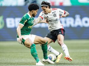 Palmeiras e Flamengo na Copa do Brasil