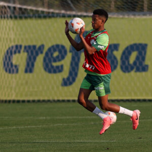 Estêvão é o grande craque do Palmeiras.