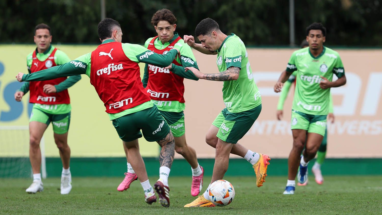 Botafogo e Palmeiras se enfrentam pelo jogo de ida das oitavas da Libertadores, confira escalações