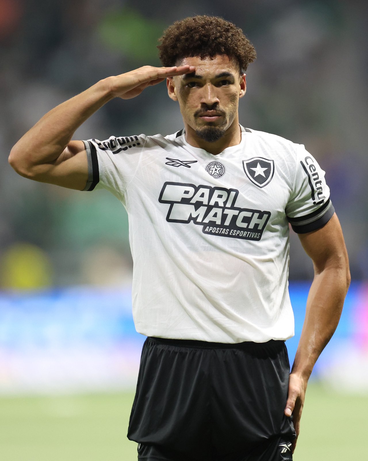 Botafogo mete 3 a 1 no Palmeiras e reassume a ponta da tabela 