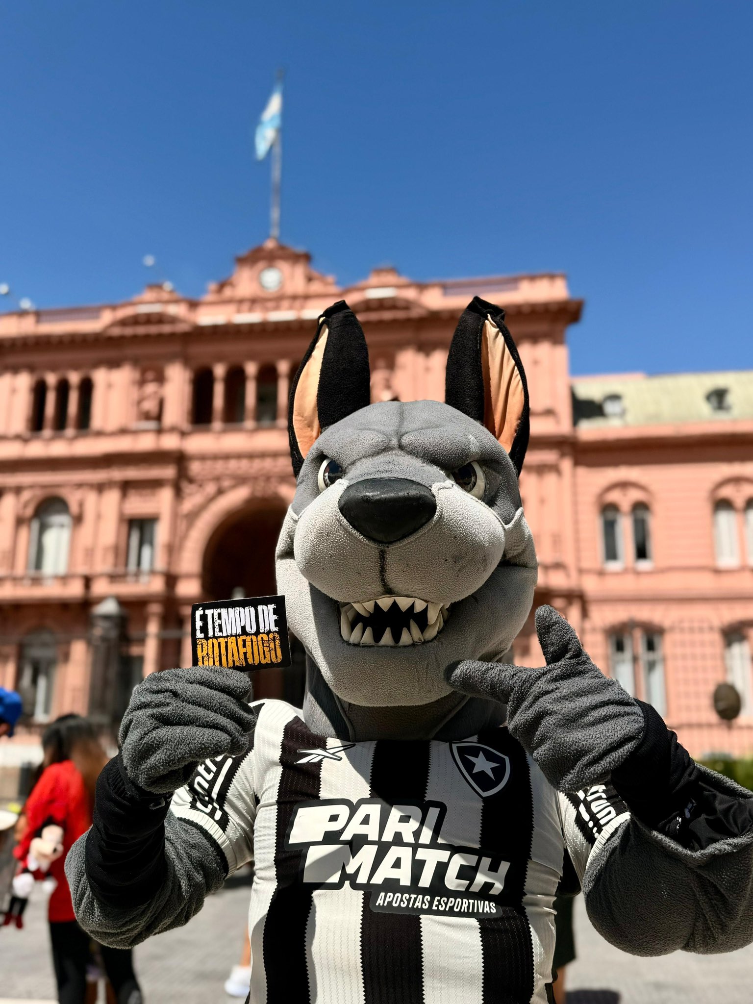 Botafogo rumo a Glória Eterna!