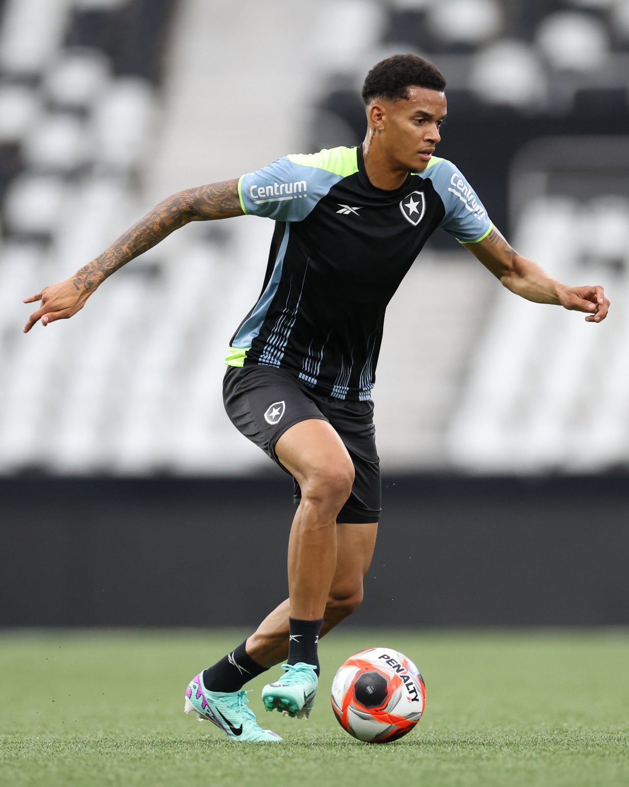 Botafogo x Portuguesa hoje às 19:30 horas no Nilton Santos 