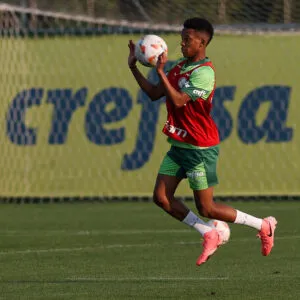 Estêvão é o grande craque do Palmeiras.